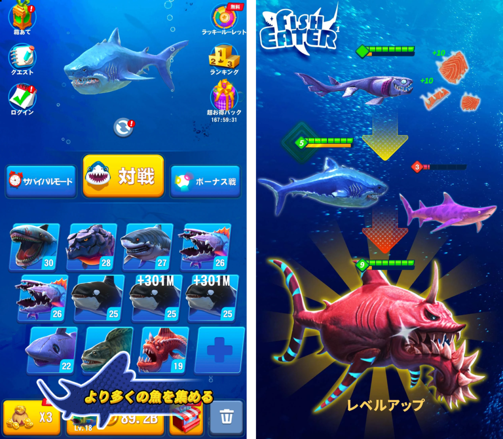 魚育成】サメサメ進化論のおすすめ度と攻略方法｜LV.43マッコウクジラをアンロック－ポイ活－ - とちおとく日記